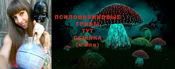 СК Волоколамск