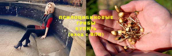 СК Волоколамск