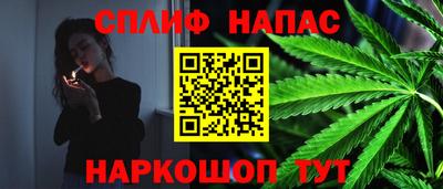 ECSTASY Гусь-Хрустальный